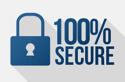 100 percent secure icon